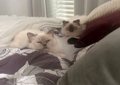 Aurelia und Amelie